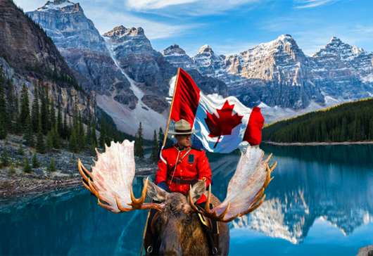 加拿大枫叶卡和绿卡的区别有哪些？